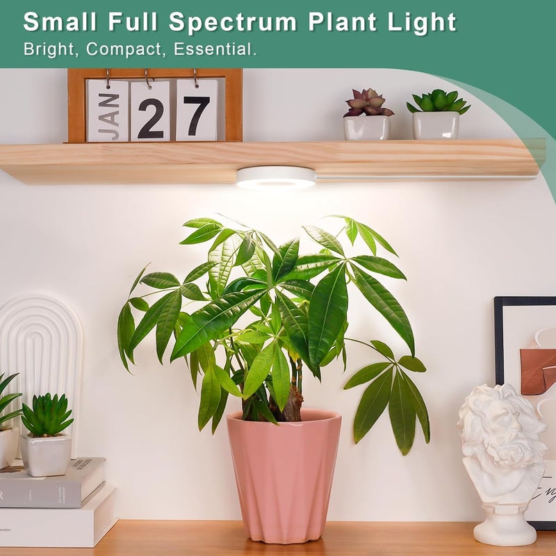 LORDEM Store Grow Light for Indoor Plants, 48 LEDs Ceiling Full Spectrum Plant Light, 5V Corded Growing Lamp with 4/8/12H Auto Switch, 4 Dimmable Brightness Levels, Ideal for Small Plants - Image 3